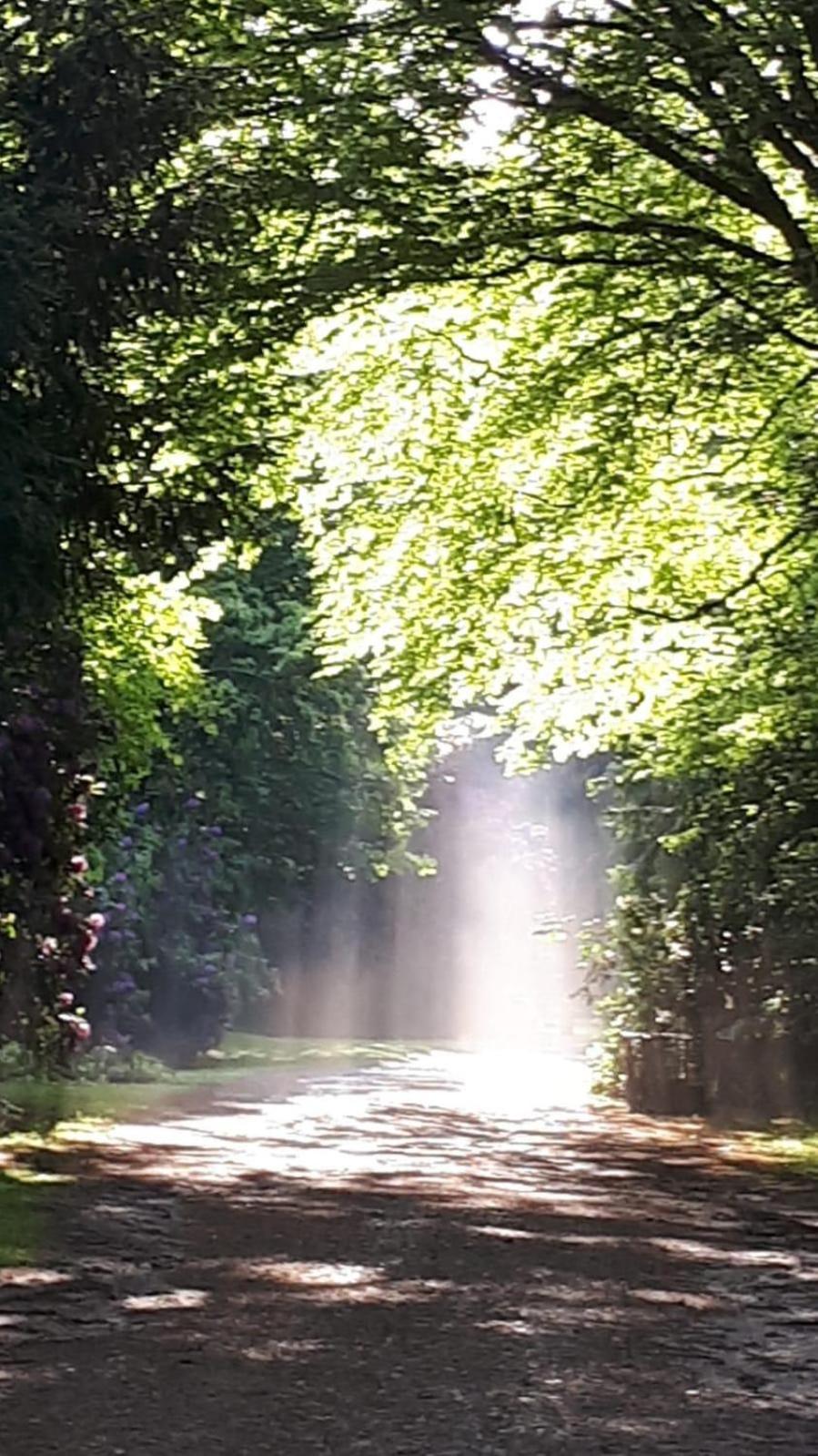 Altmarkblick Erbenhausen Екстер'єр фото